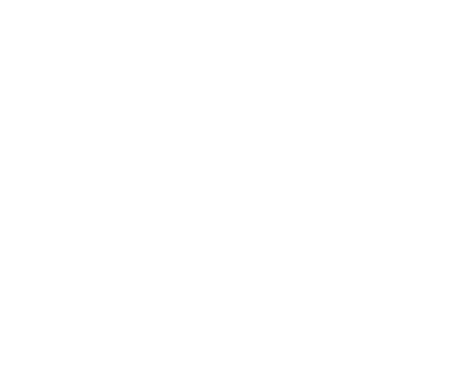 Find The Bird