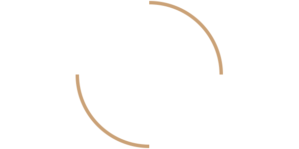 Logo Dries Ronsse Advocaat